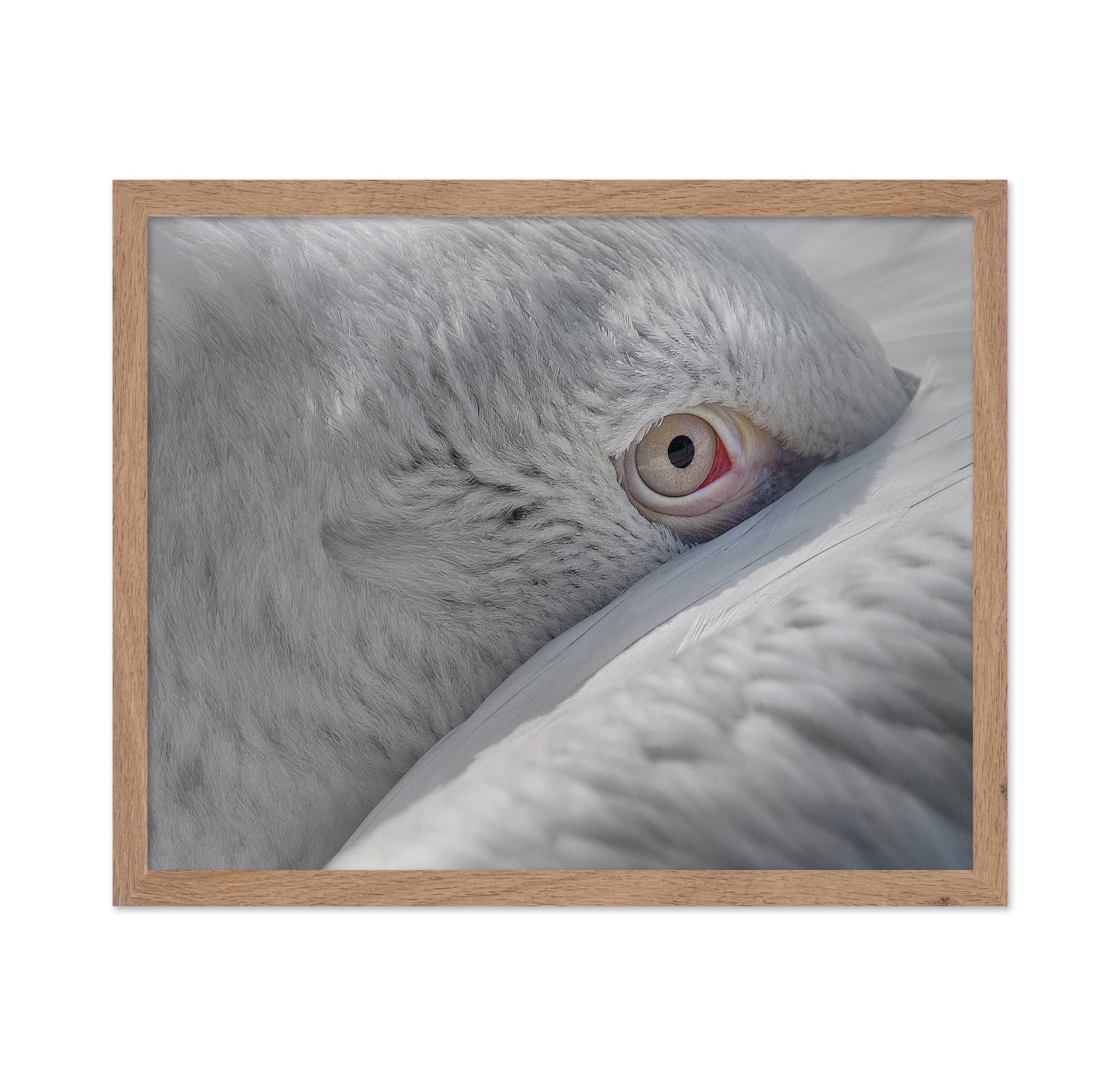 Eye