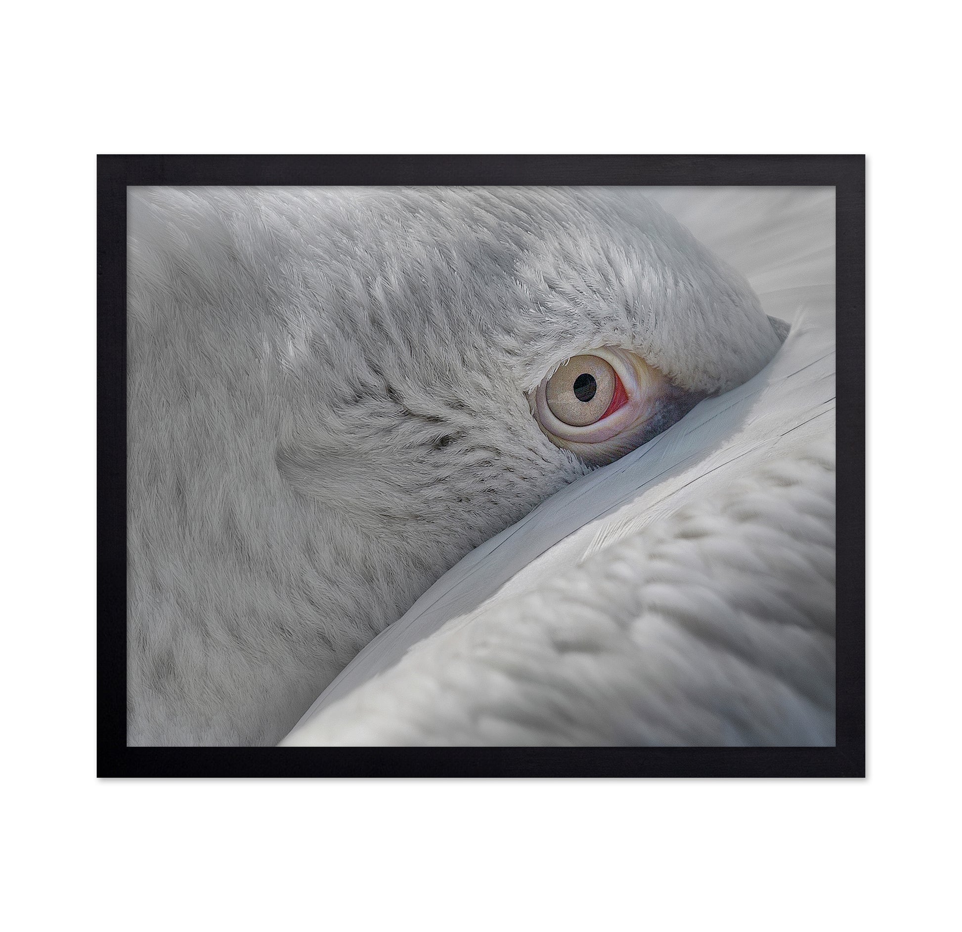 Eye