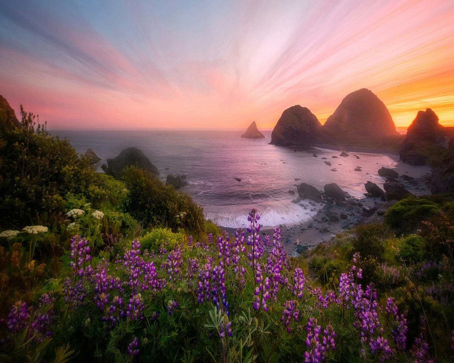 Sister Rocks With Lupin Blooms