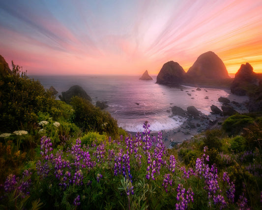 Sister Rocks With Lupin Blooms