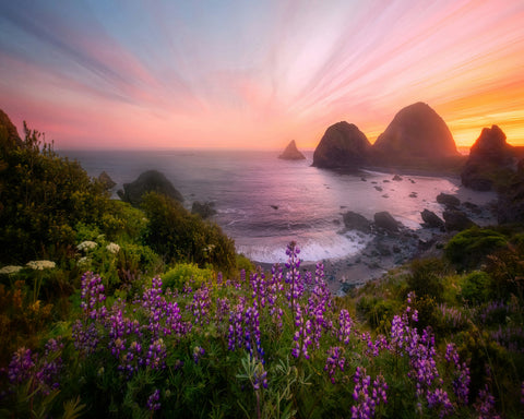 Sister Rocks With Lupin Blooms