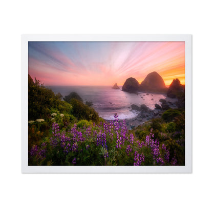 Sister Rocks With Lupin Blooms