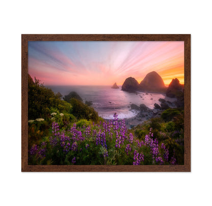 Sister Rocks With Lupin Blooms