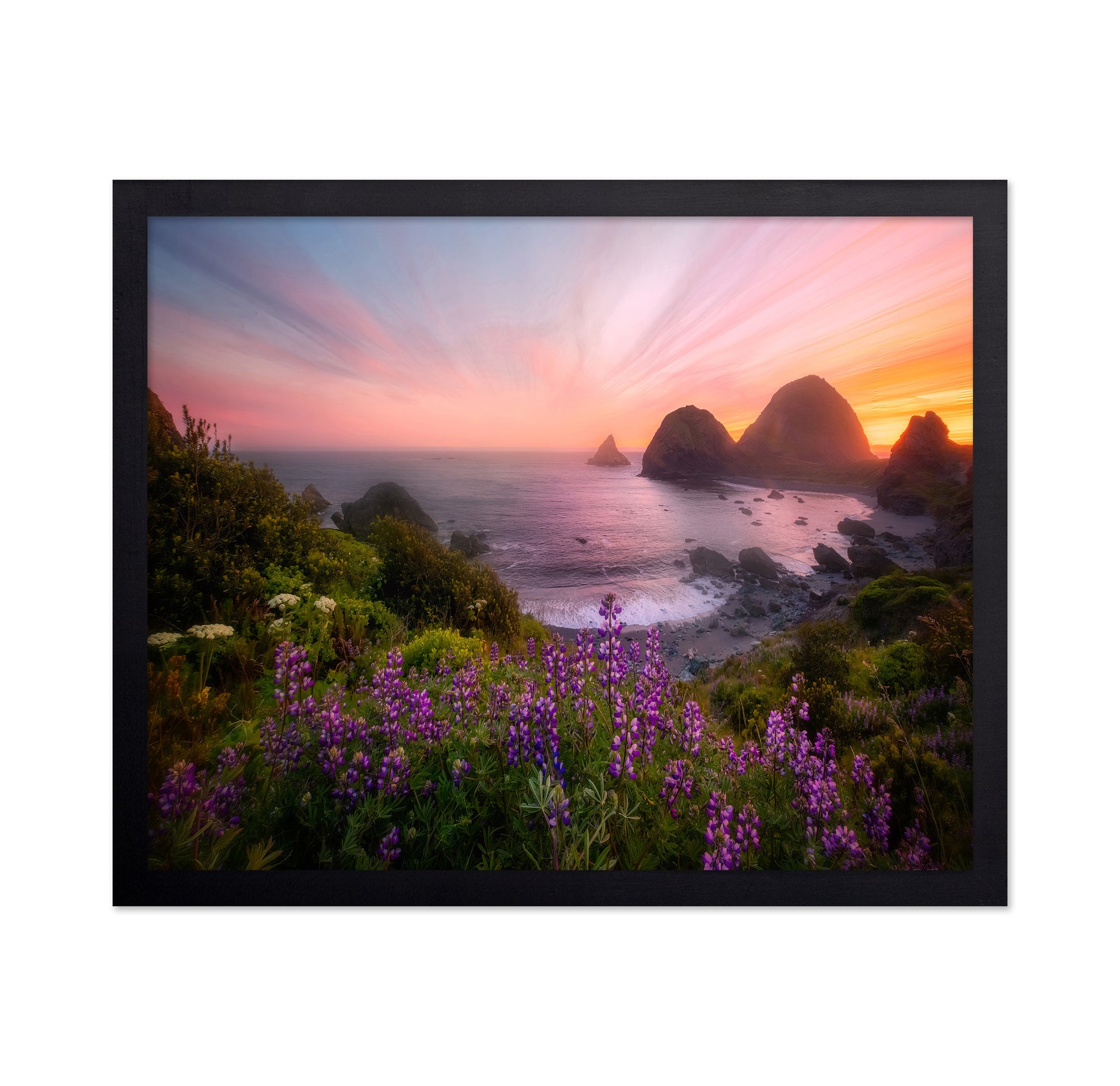 Sister Rocks With Lupin Blooms