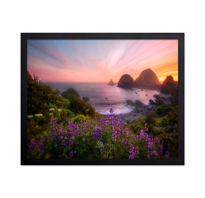 Sister Rocks With Lupin Blooms