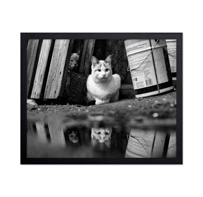 Street Cat Mirror Puddle