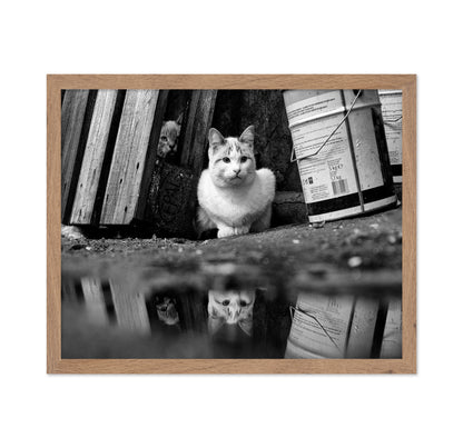 Street Cat Mirror Puddle