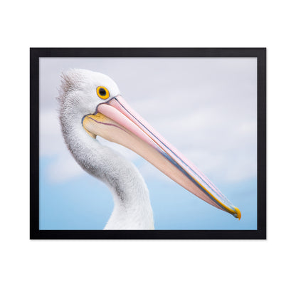 Pelican No 2