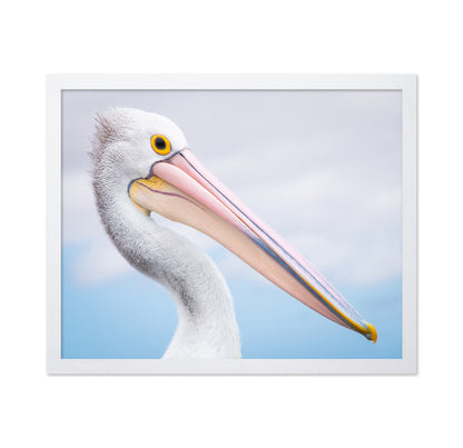 Pelican No 2