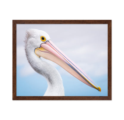 Pelican No 2