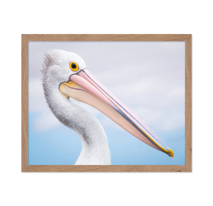 Pelican No 2