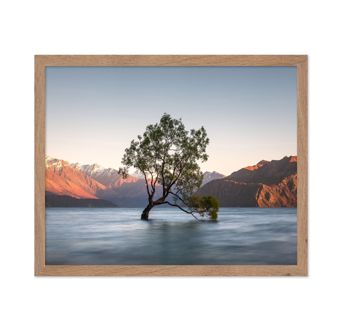 Wanaka Tree