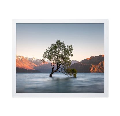 Wanaka Tree