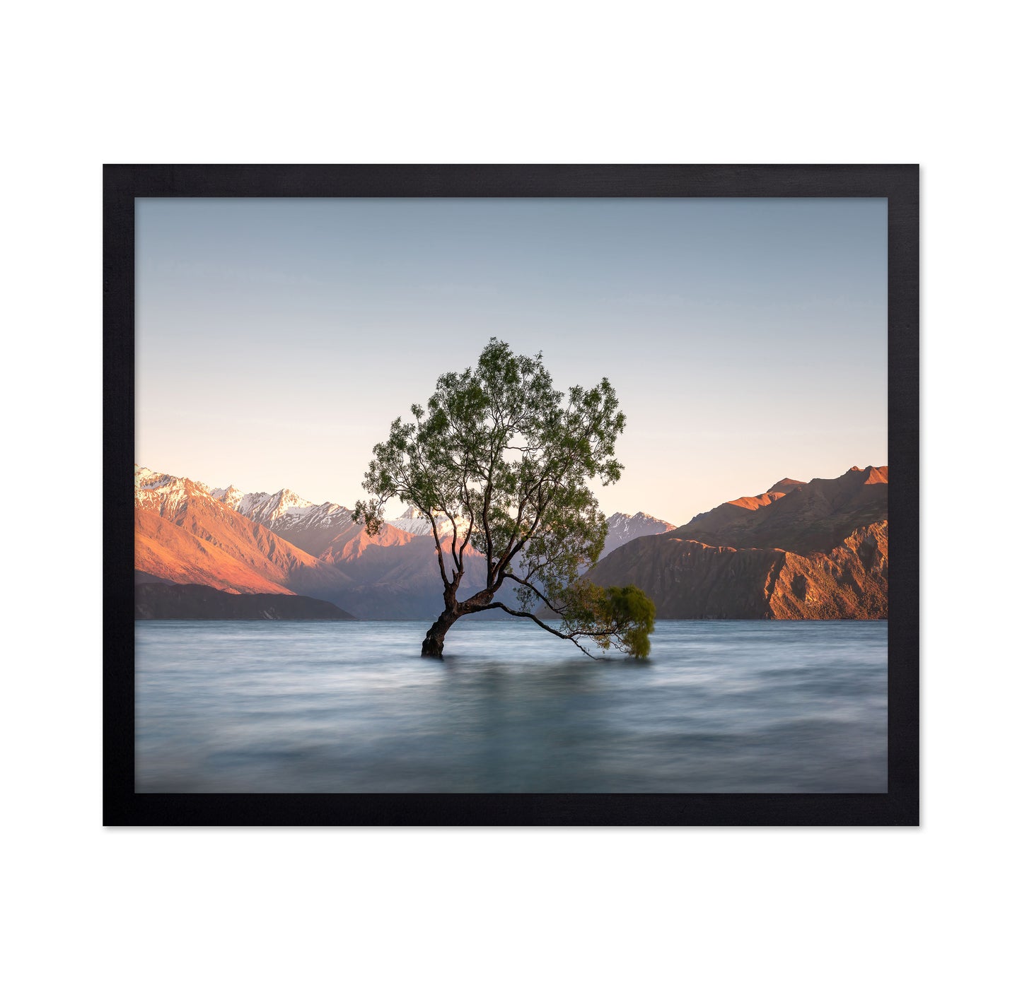 Wanaka Tree