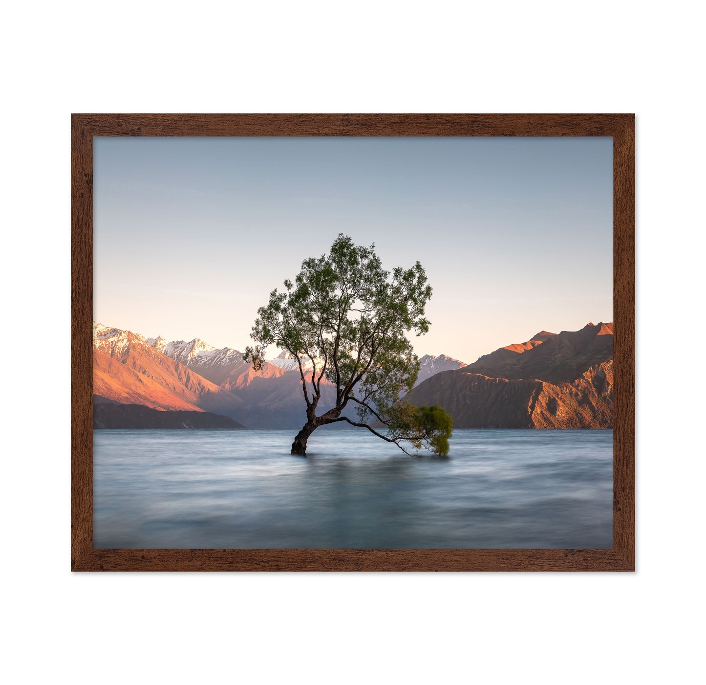 Wanaka Tree