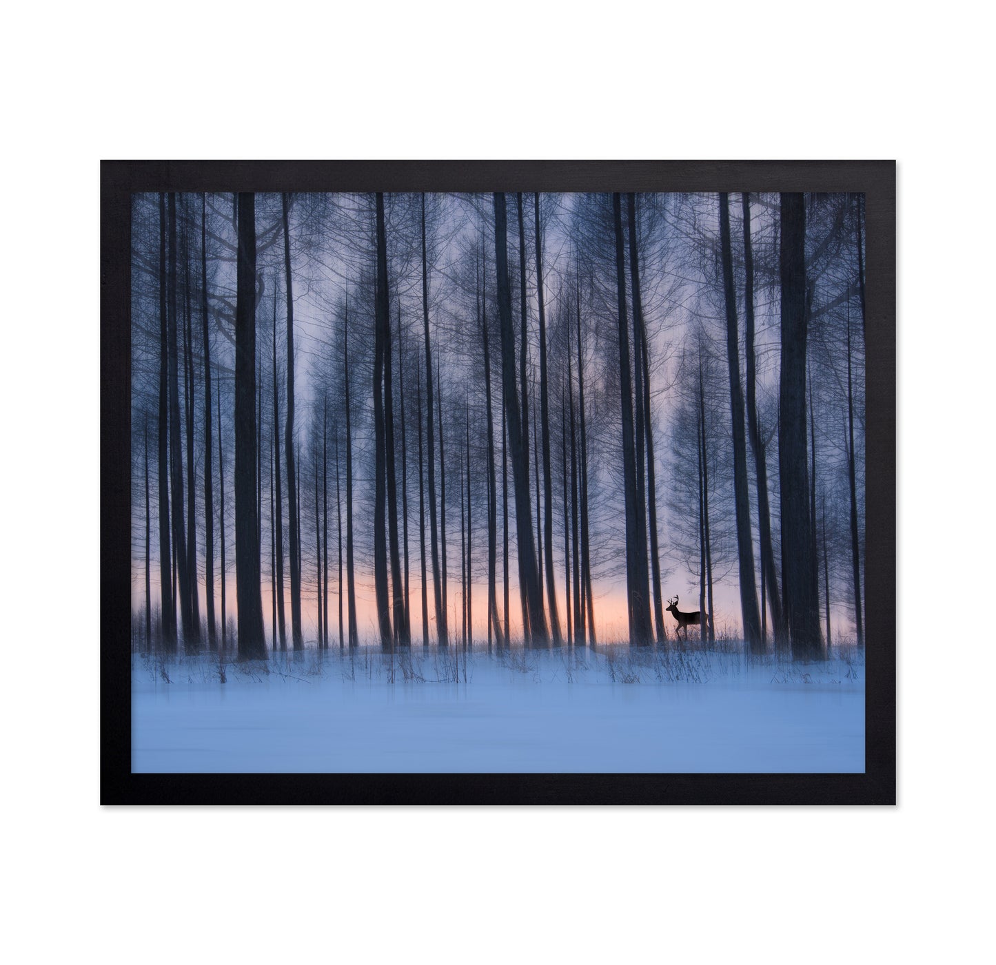 Winter Forest Deer