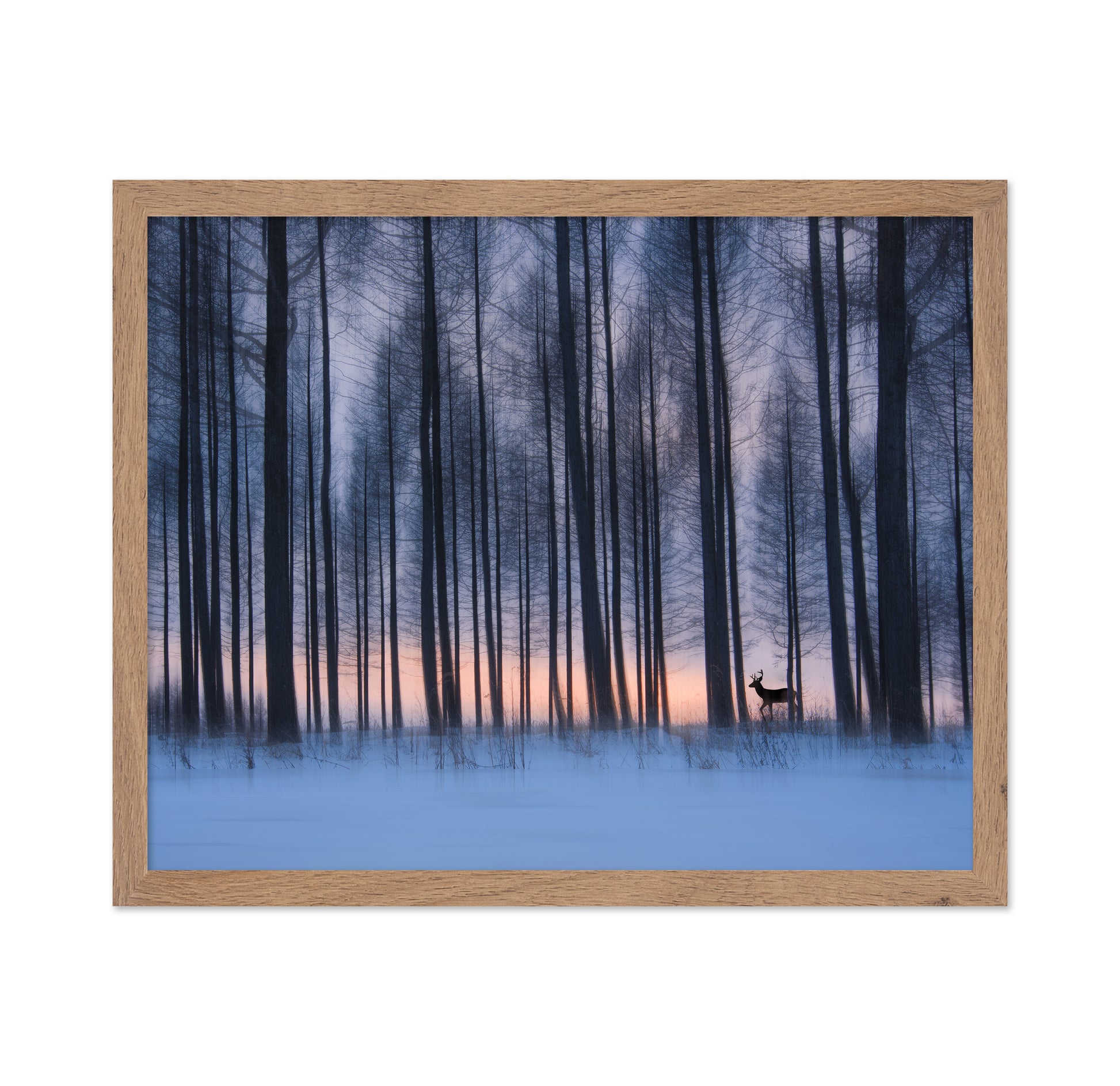 Winter Forest Deer