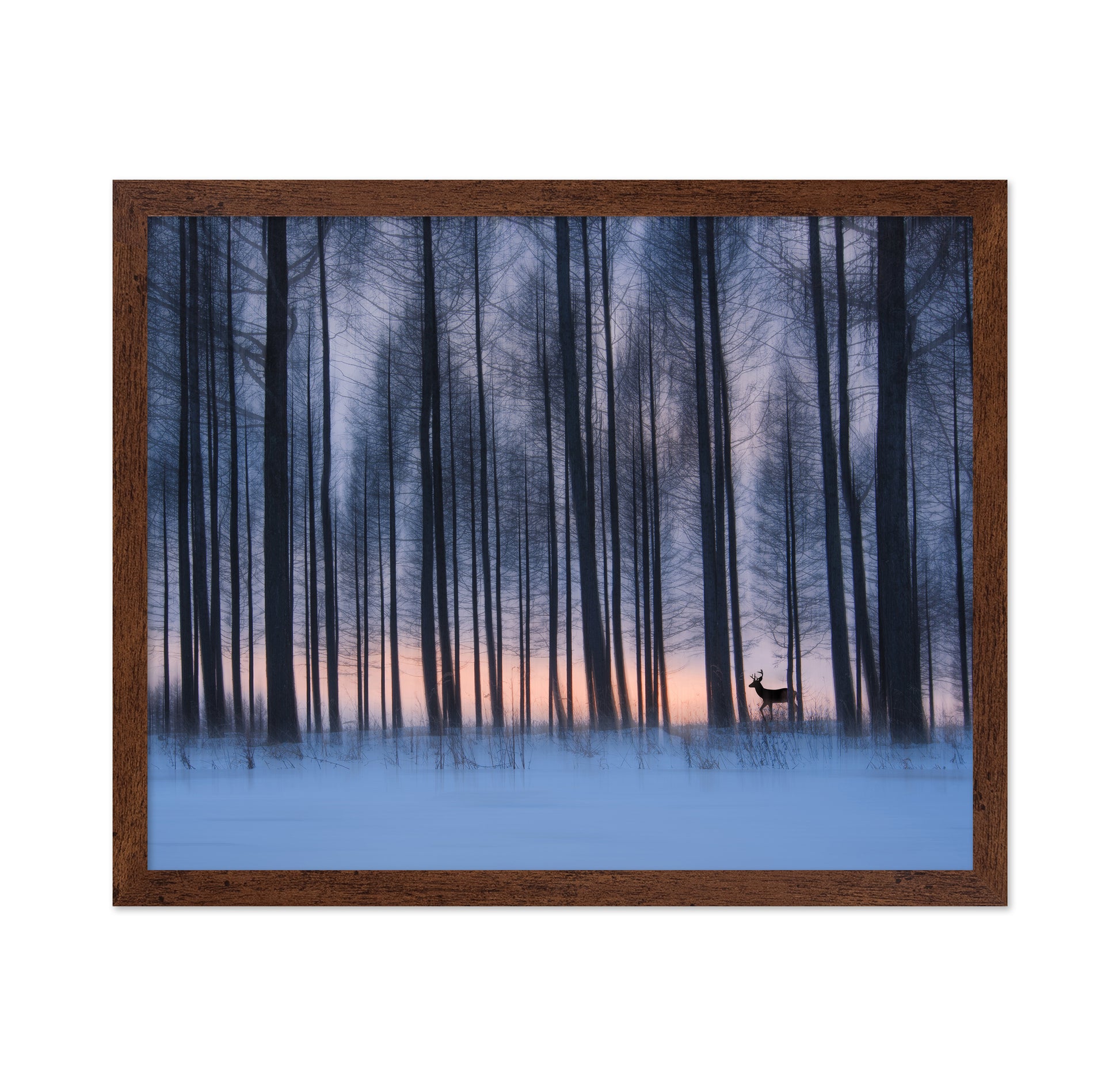 Winter Forest Deer
