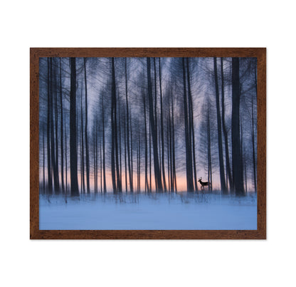 Winter Forest Deer
