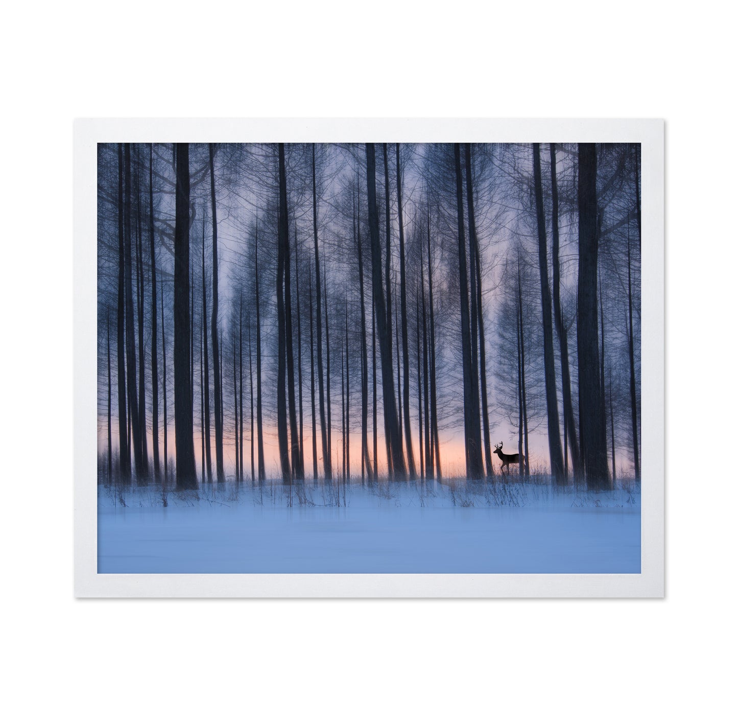 Winter Forest Deer