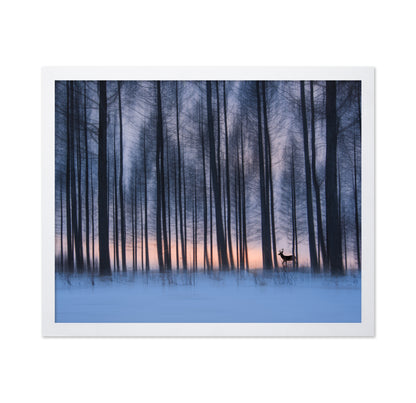 Winter Forest Deer