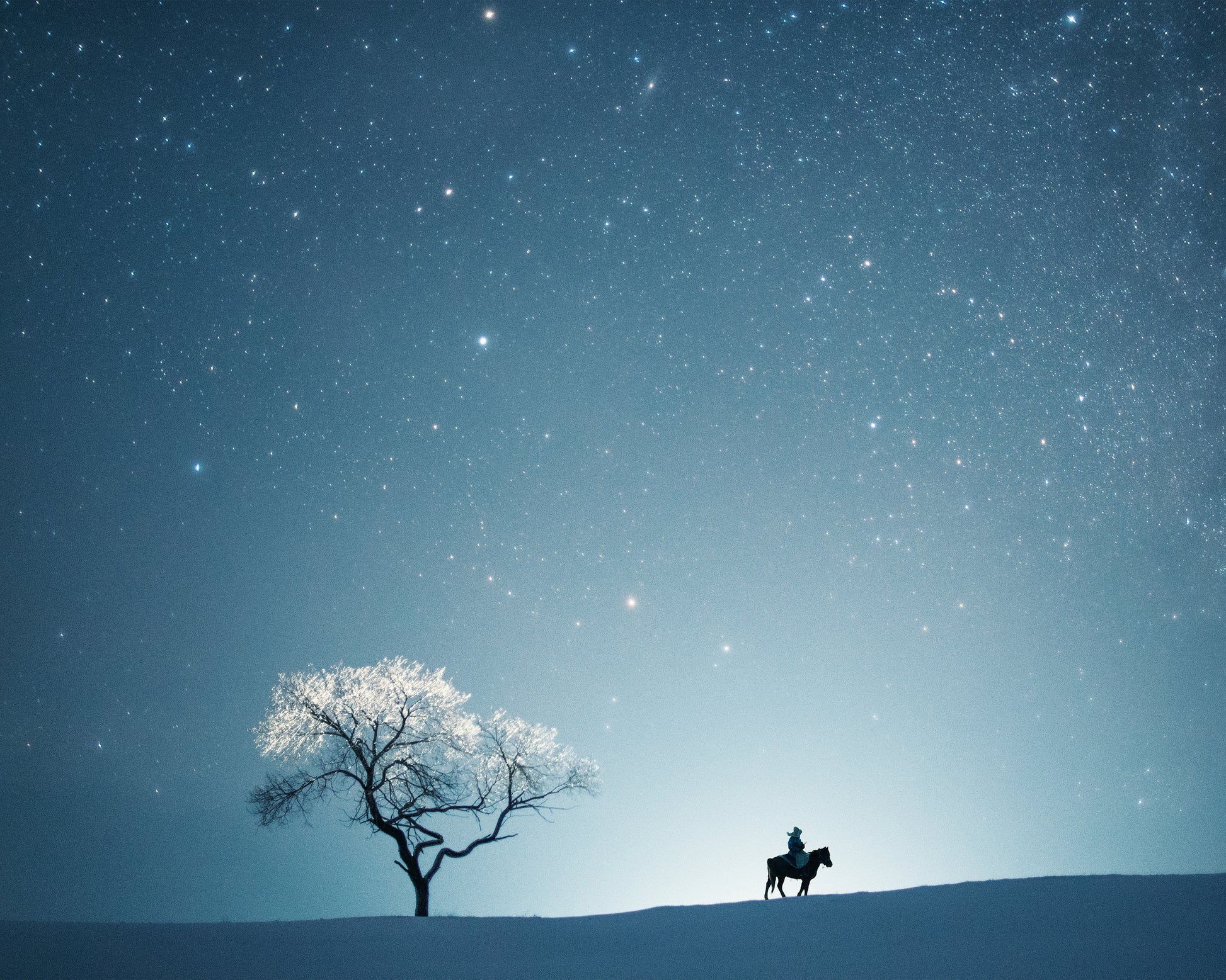 The Midnight Rider