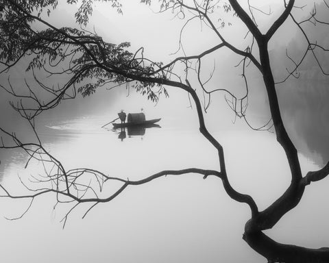 Winter Fog