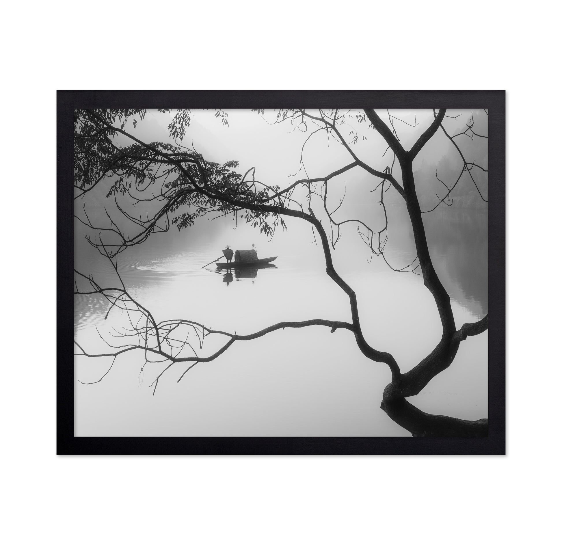 Winter Fog
