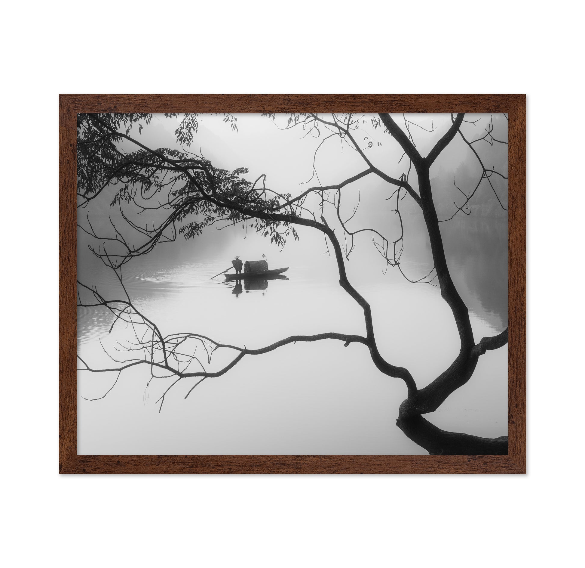 Winter Fog