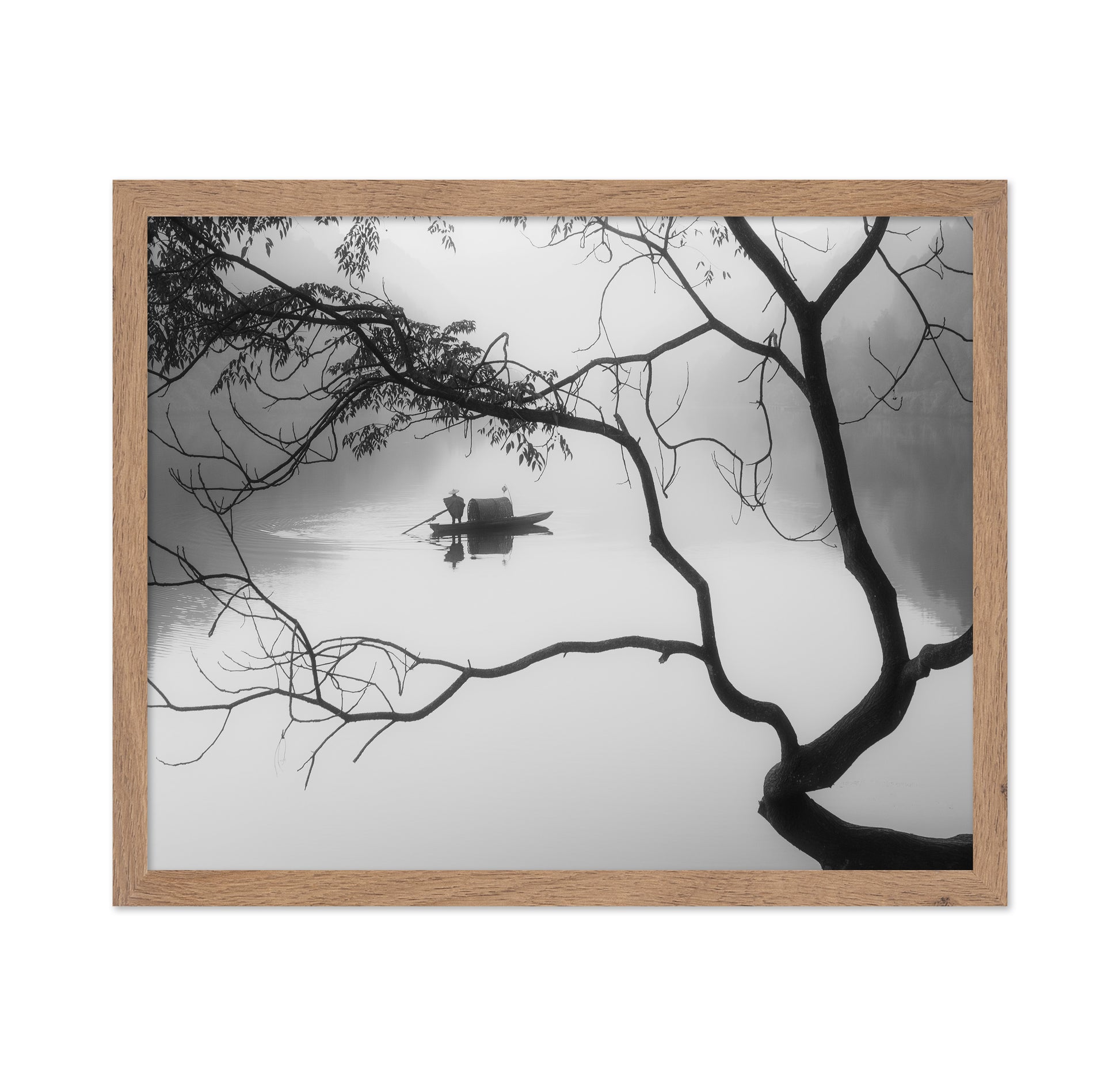 Winter Fog