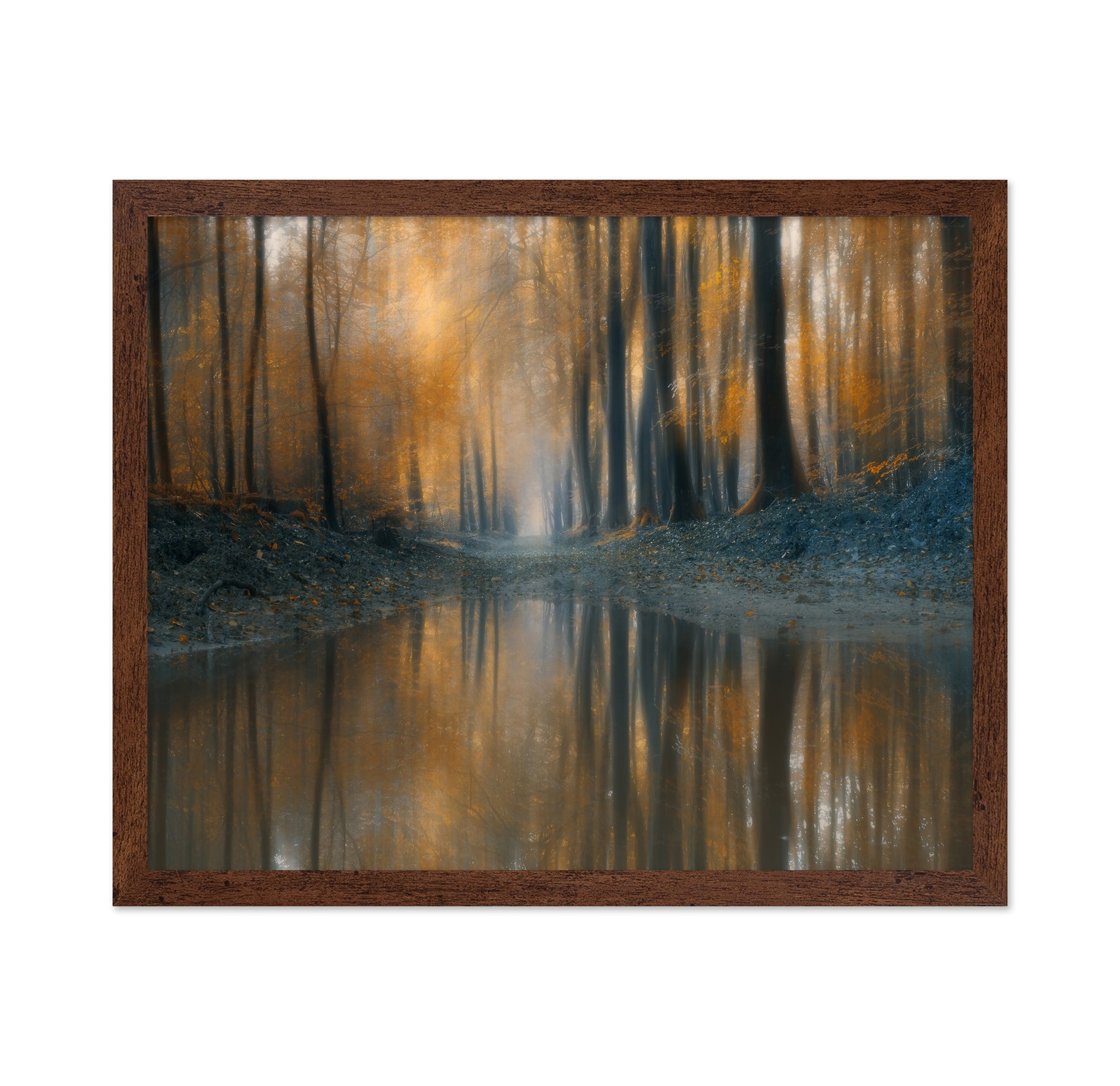 The Woods