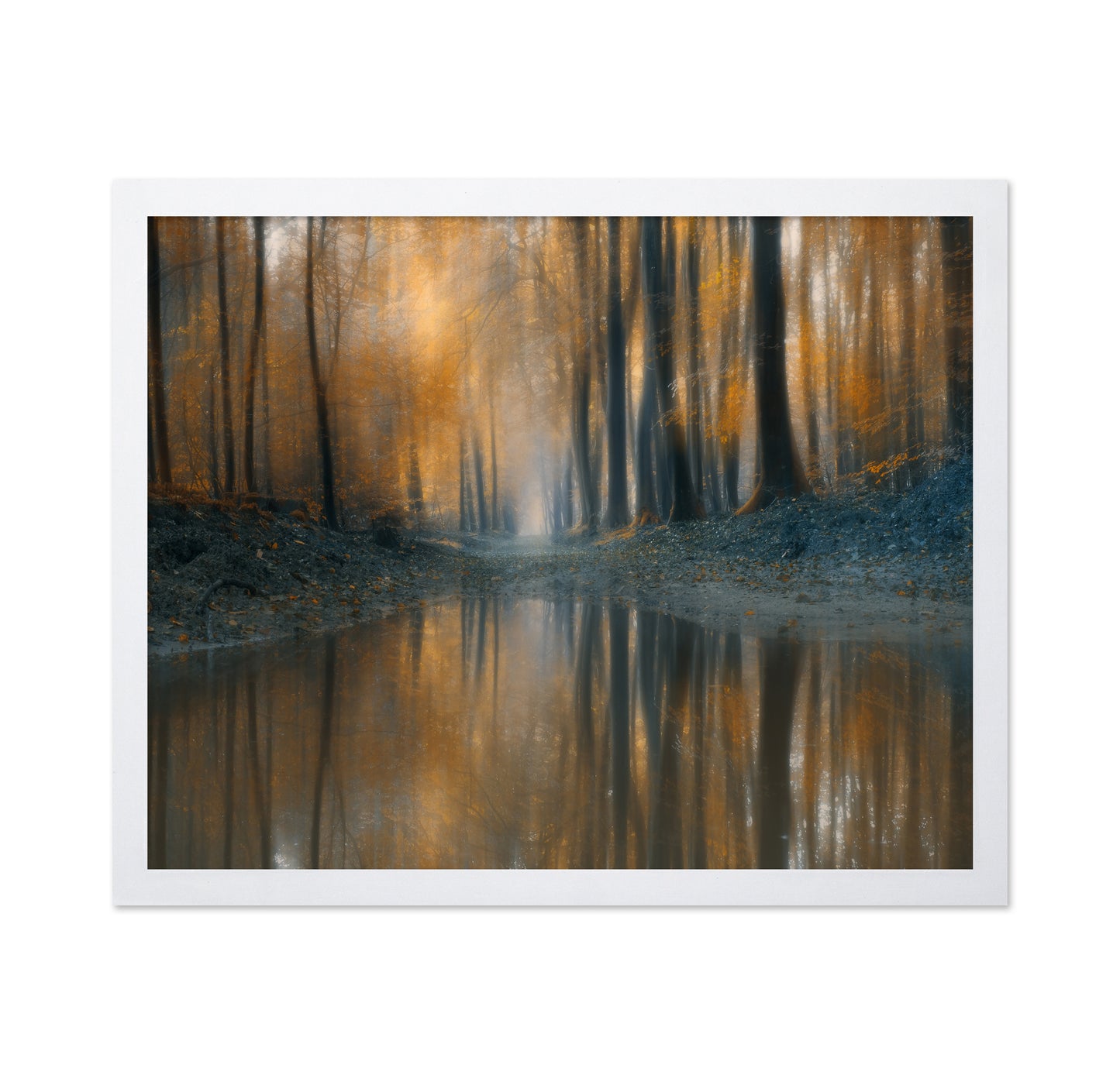 The Woods