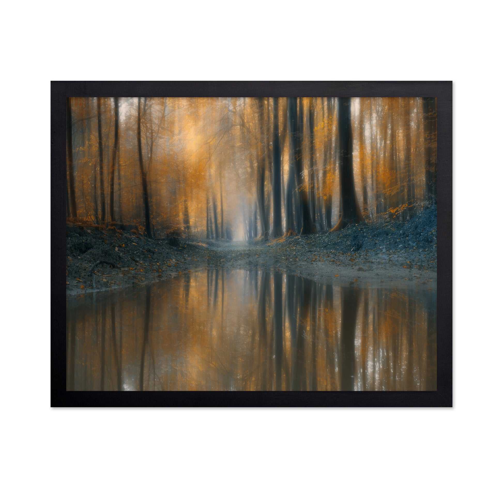 The Woods