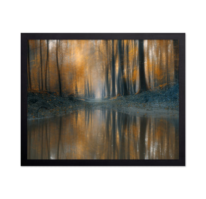 The Woods