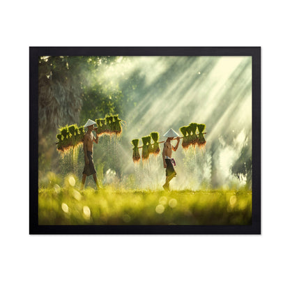 Farmers Carrying Rice Seedlings