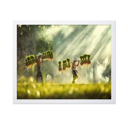 Farmers Carrying Rice Seedlings