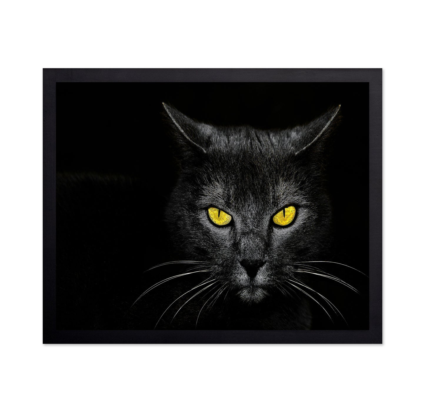 Black Cat No 3