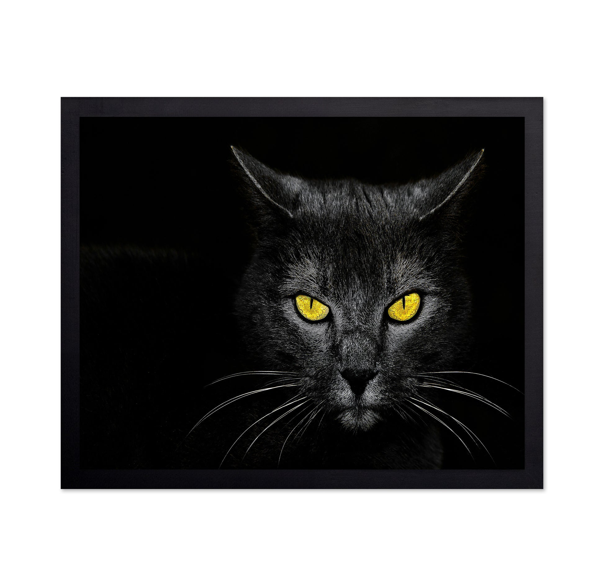 Black Cat No 3