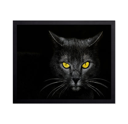 Black Cat No 3