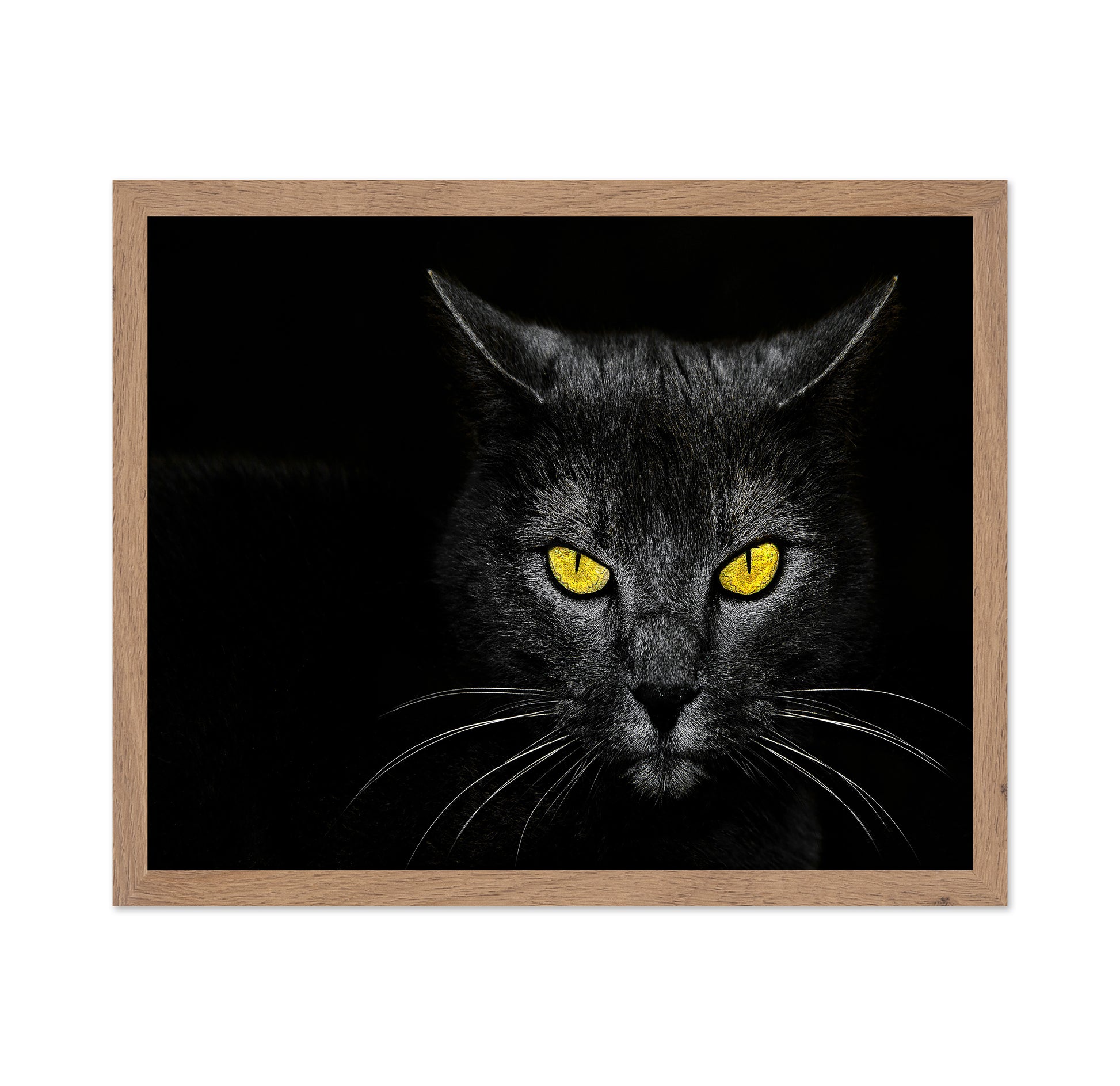 Black Cat No 3