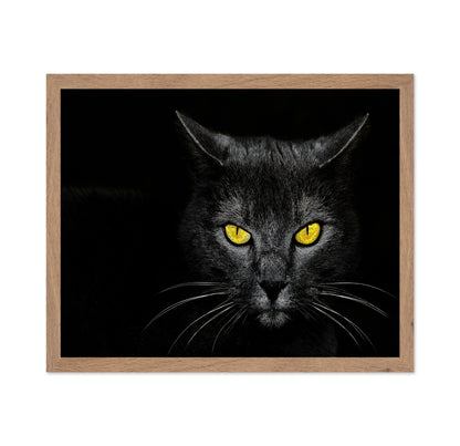 Black Cat No 3