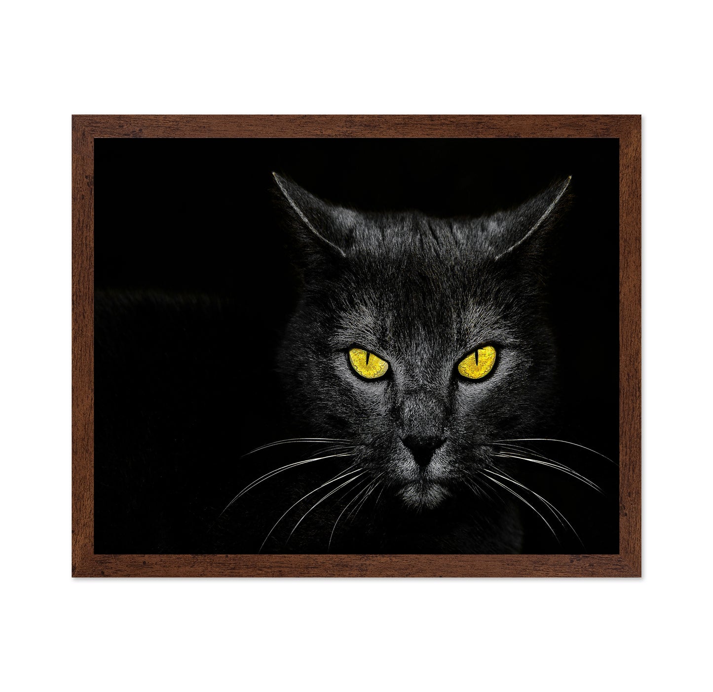 Black Cat No 3