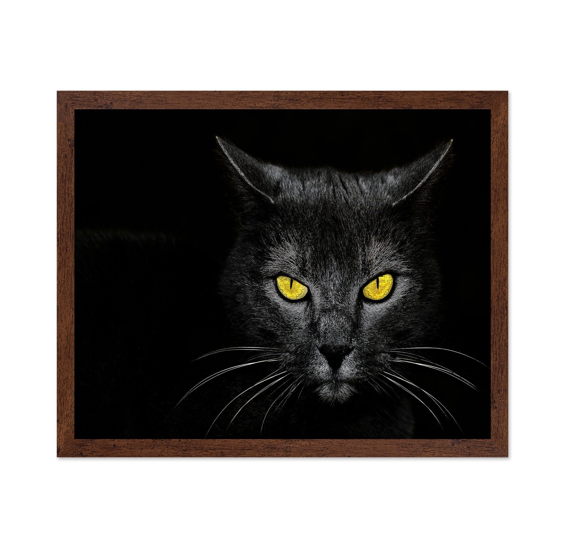 Black Cat No 3