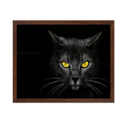 Black Cat No 3