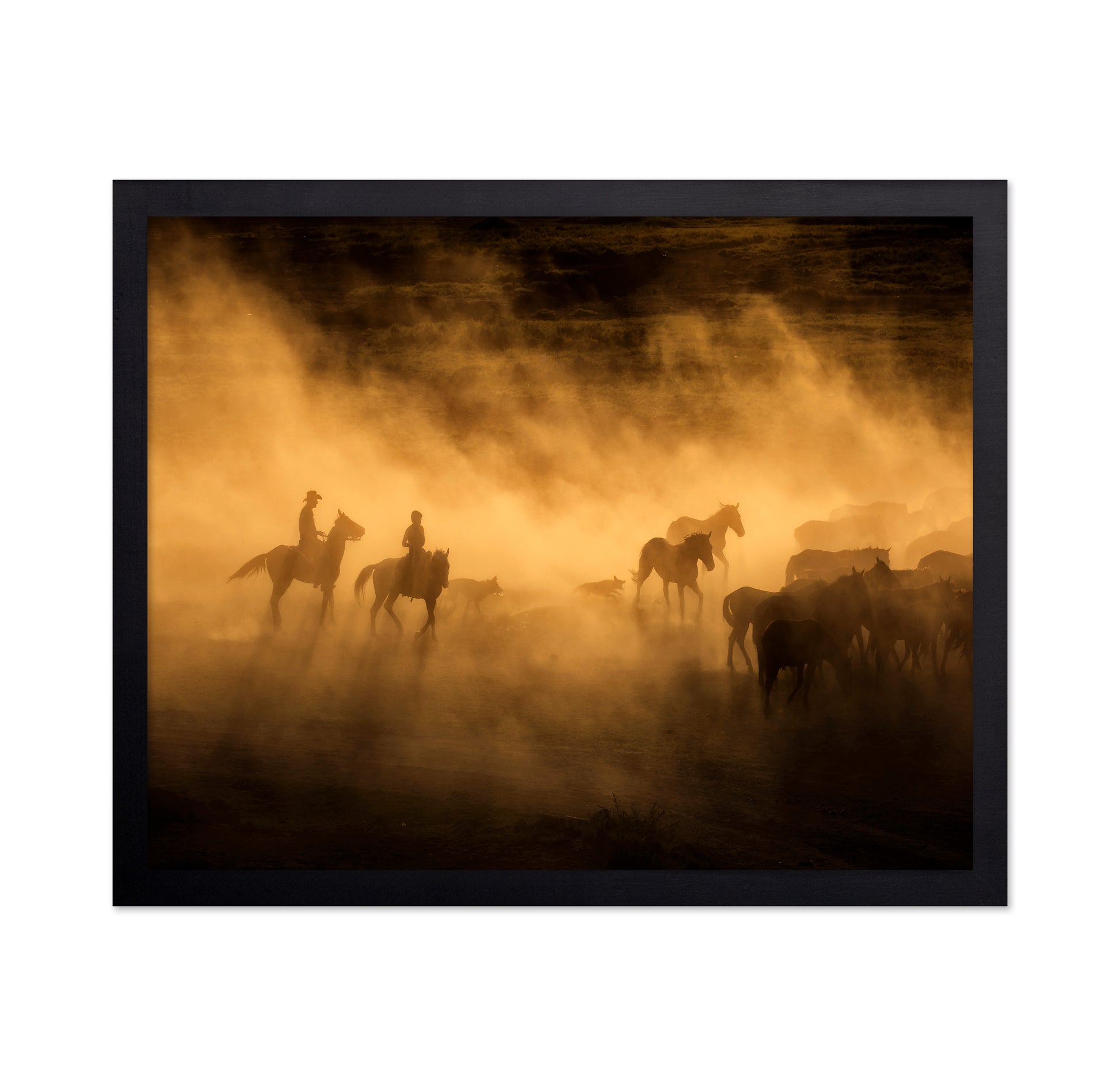Wild Horses Of Cappadocia