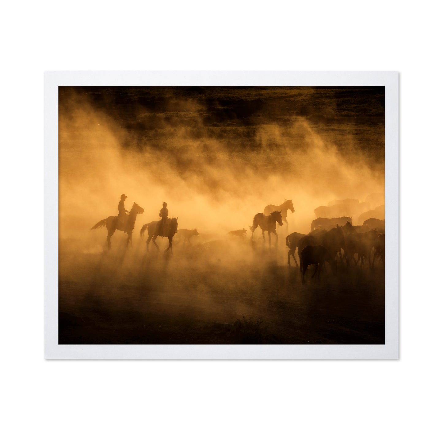 Wild Horses Of Cappadocia
