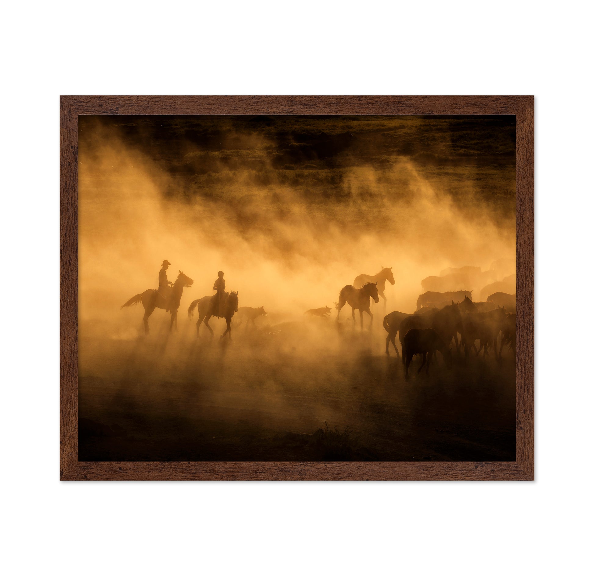 Wild Horses Of Cappadocia