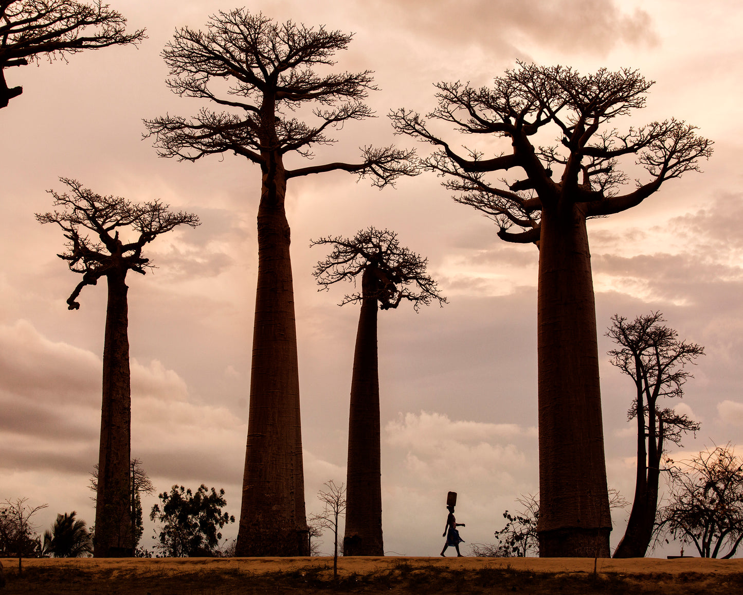 Madagascar