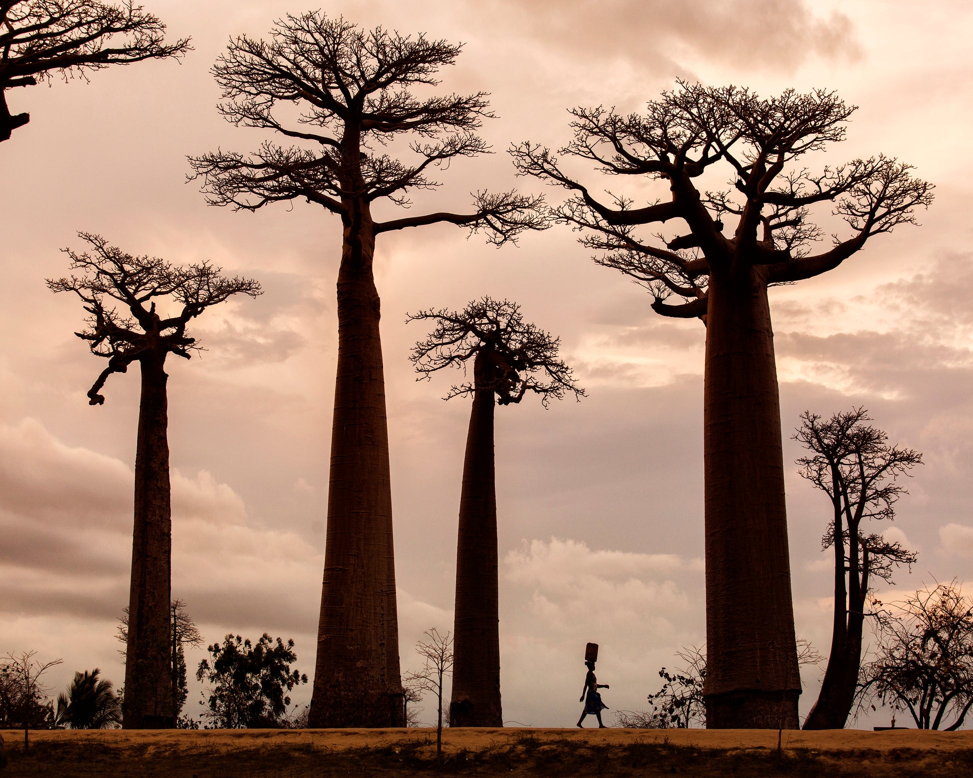 Madagascar