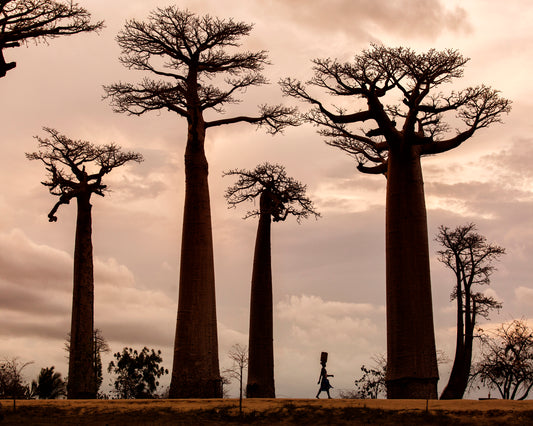 Madagascar
